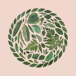 超治愈平面設計 一家人要整整齊齊的創意理念在網頁中的應用